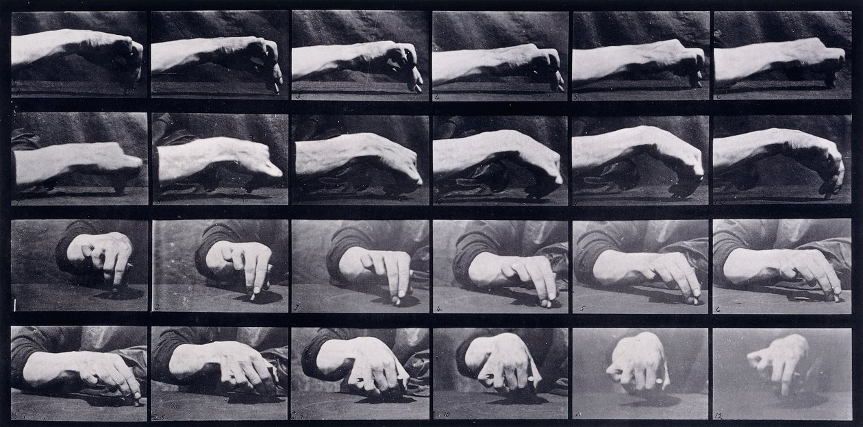 Estudio de movimiento de una mano, c.1872-1885 de Eadweard Muybridge
