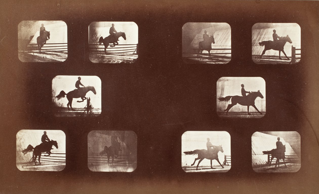Locomoción animal (hombre a caballo sobre vallas) de Eadweard Muybridge