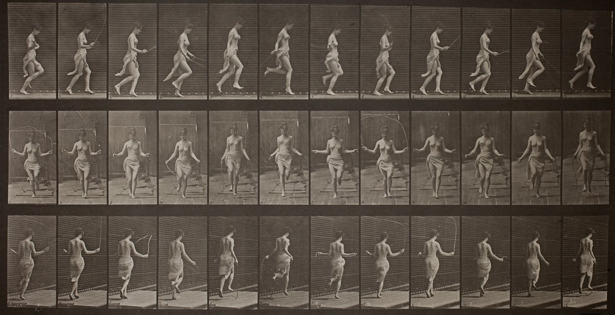 Locomoción animal, plancha 174 de Eadweard Muybridge