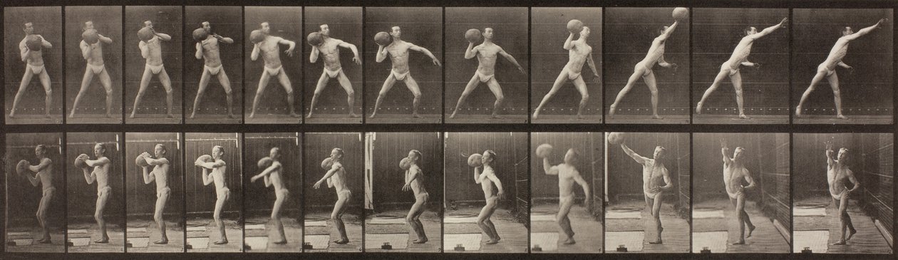 Locomoción Animal, Placa 319, 1887 de Eadweard Muybridge