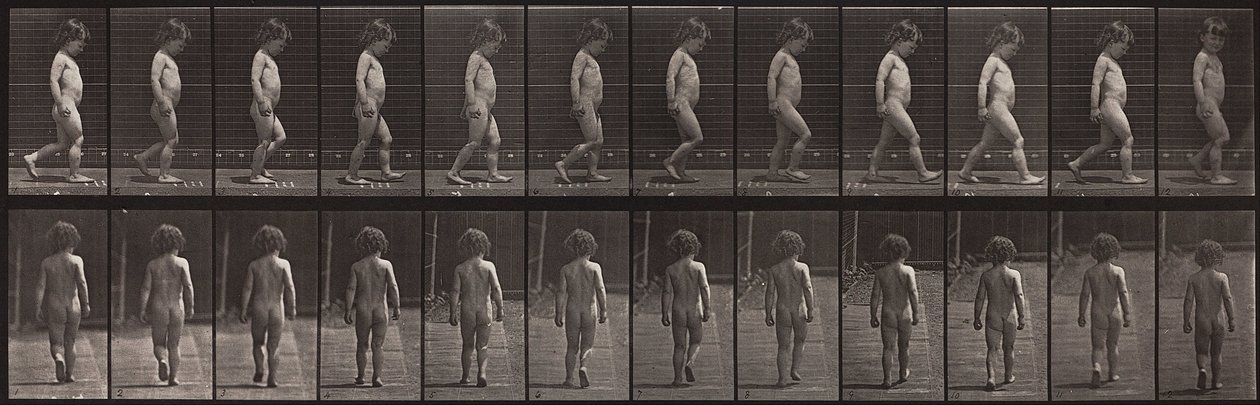 Locomoción animal, Placa 467 de Eadweard Muybridge