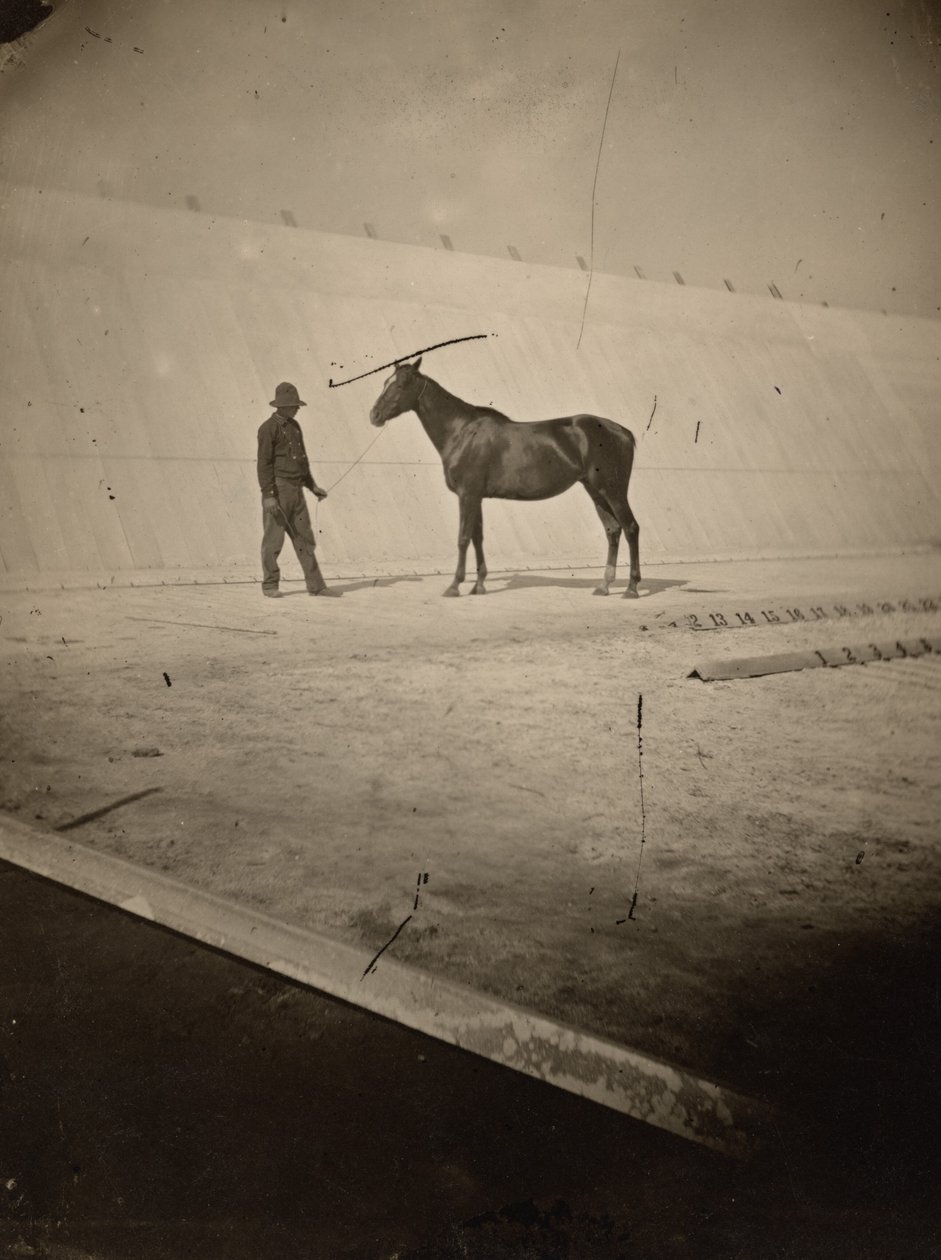 Detalle de la pista de la granja de caballos de Leland Stanford en Palo Alto,1878-1879 (foto) de Eadweard Muybridge