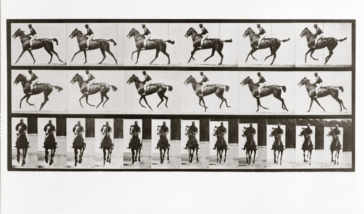 Caballo y jinete, Placa 621 de Animal Locomotion de Eadweard Muybridge