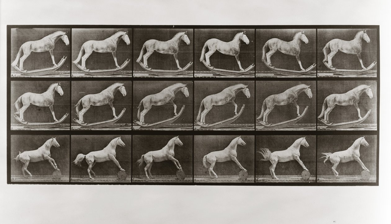 Caballo en mecedoras y caballo rodando un barril, Placa 649 de Animal Locomotion de Eadweard Muybridge