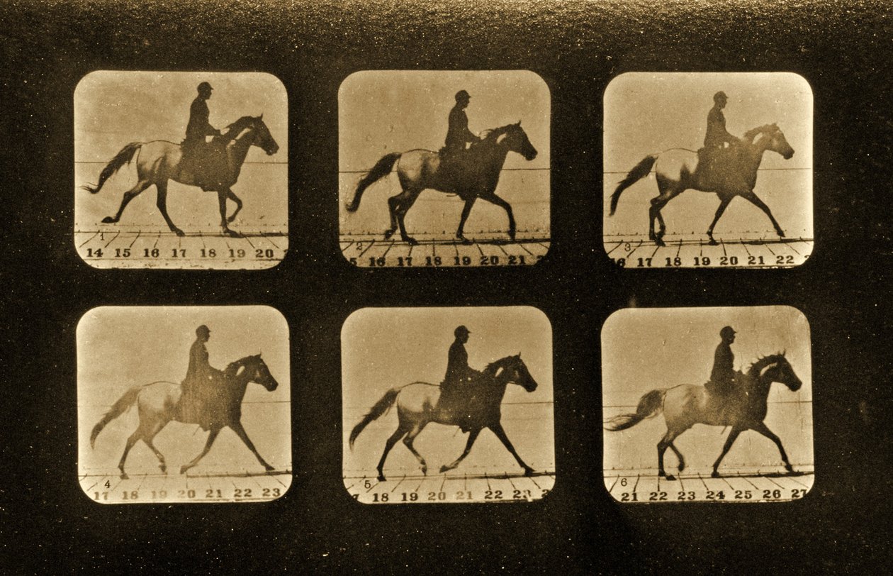 Caballos. Irregular, serie 