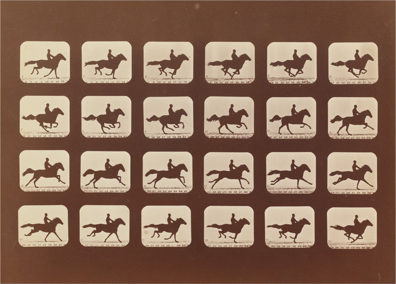 Caballos. Corriendo. Phyrne L. No. 40 de Eadweard Muybridge