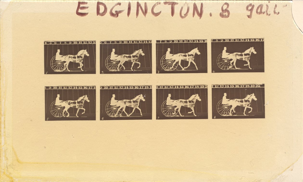 Internegativo para Caballos. Trote. Abe Edgington. No. 28 de Eadweard Muybridge