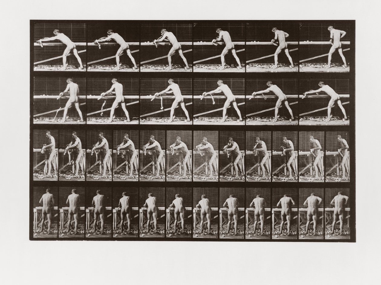 Hombre cepillando madera, Placa 379 de Animal Locomotion de Eadweard Muybridge