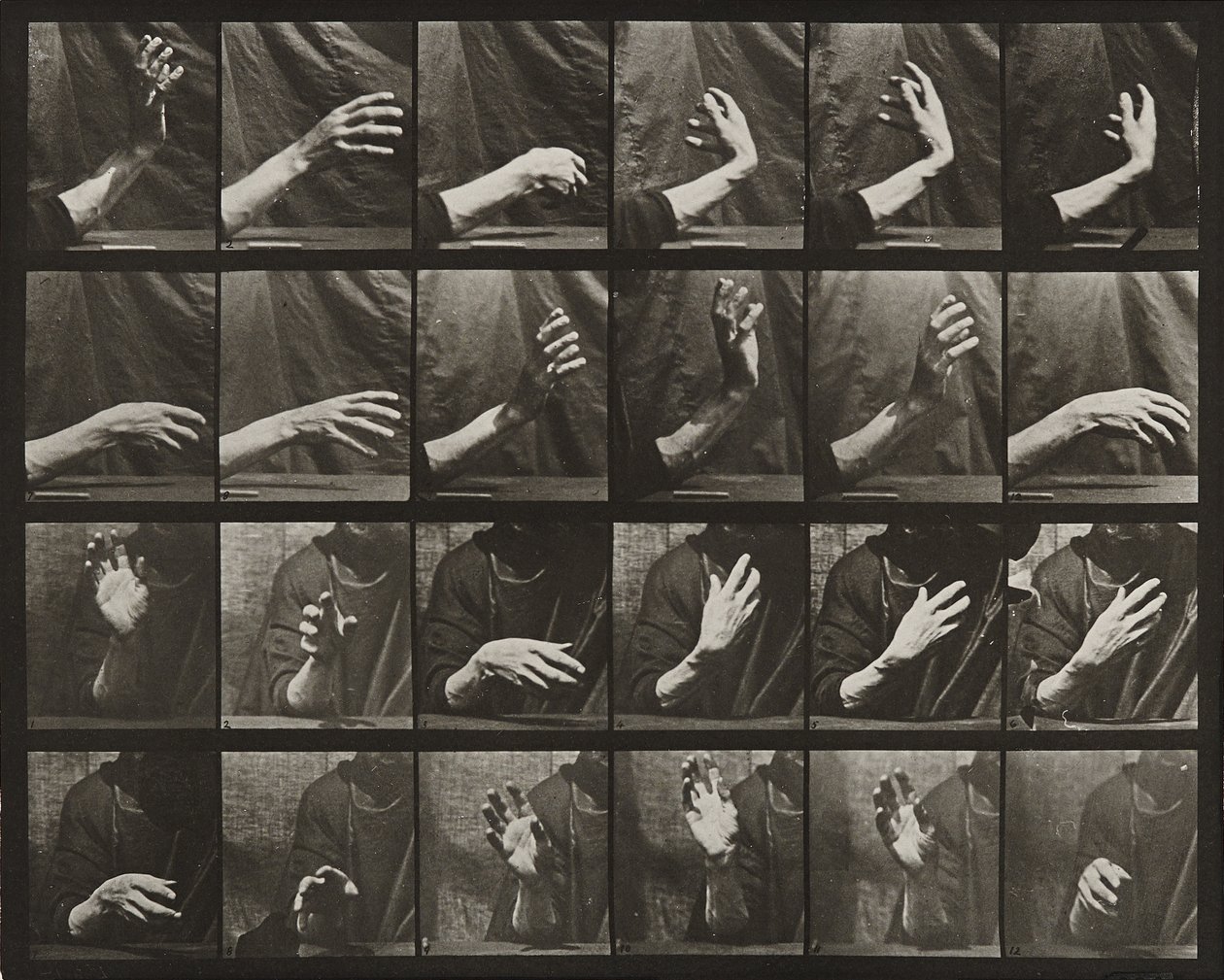 Movimiento de la mano; marcando el tiempo de Eadweard Muybridge