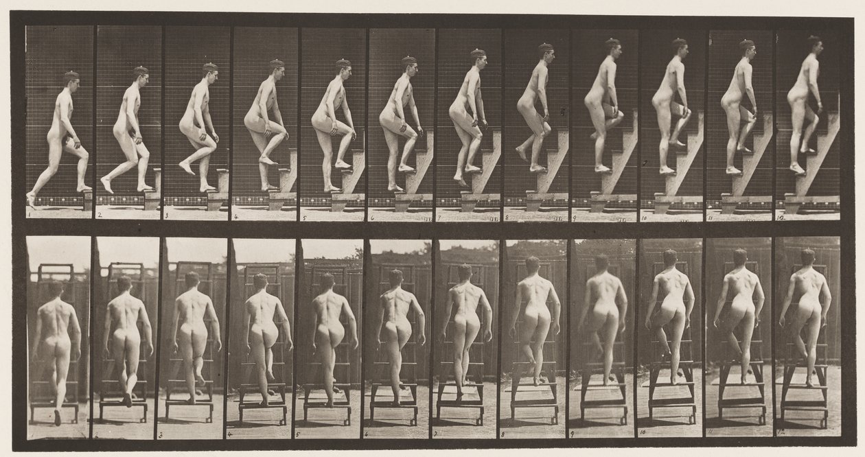 Placa 109. Subiendo escalera, 1872-1885 de Eadweard Muybridge