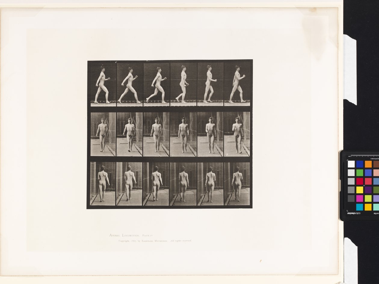 Placa 10. Caminando de Eadweard Muybridge