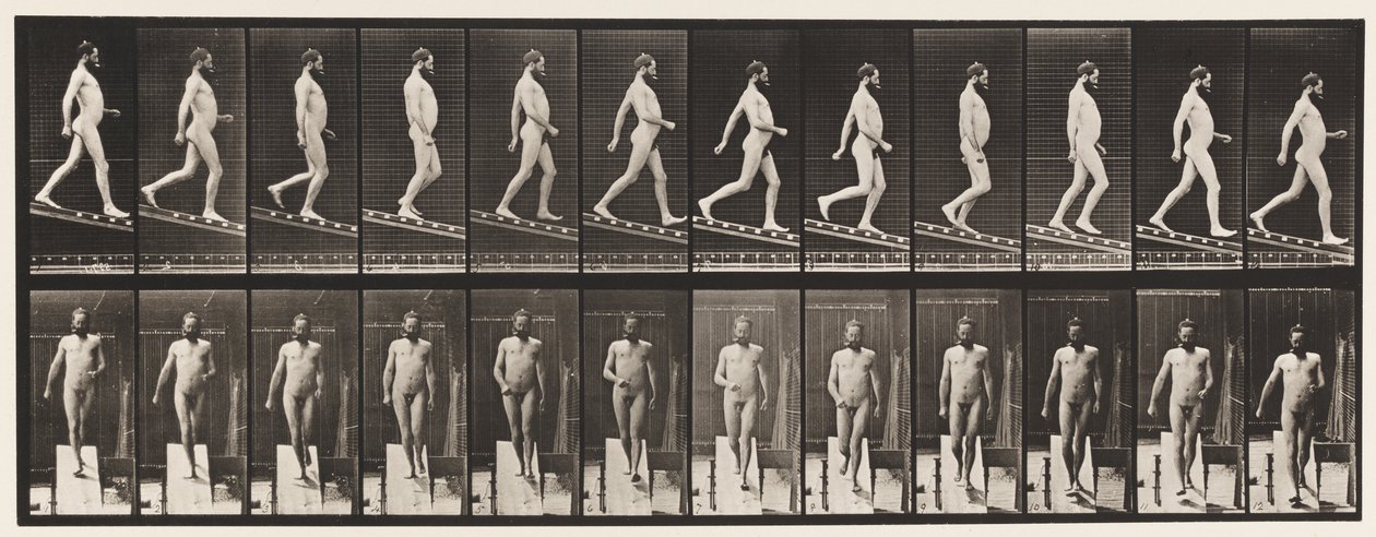 Placa 113. Bajando una pendiente, 1 en 4 de Eadweard Muybridge