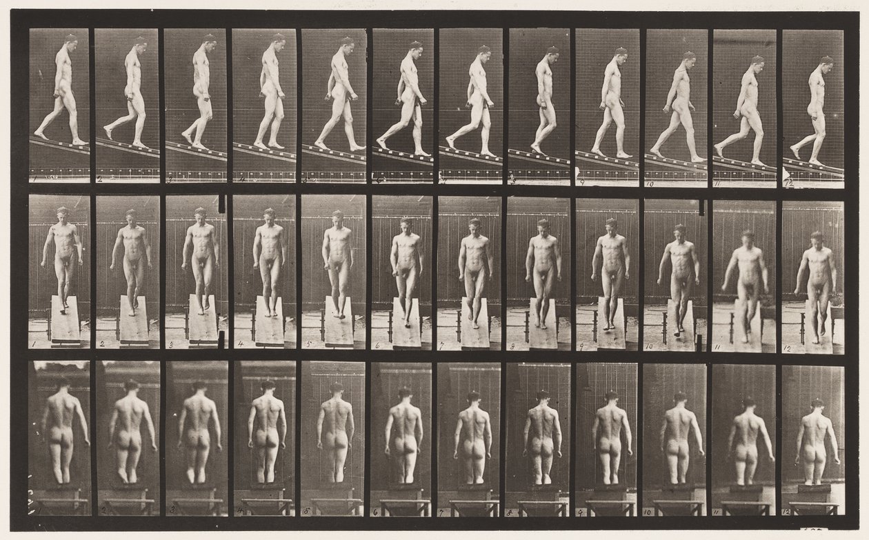 Placa 114. Descendiendo inclinación, ángulo 1 en 4, 1872-1885 de Eadweard Muybridge