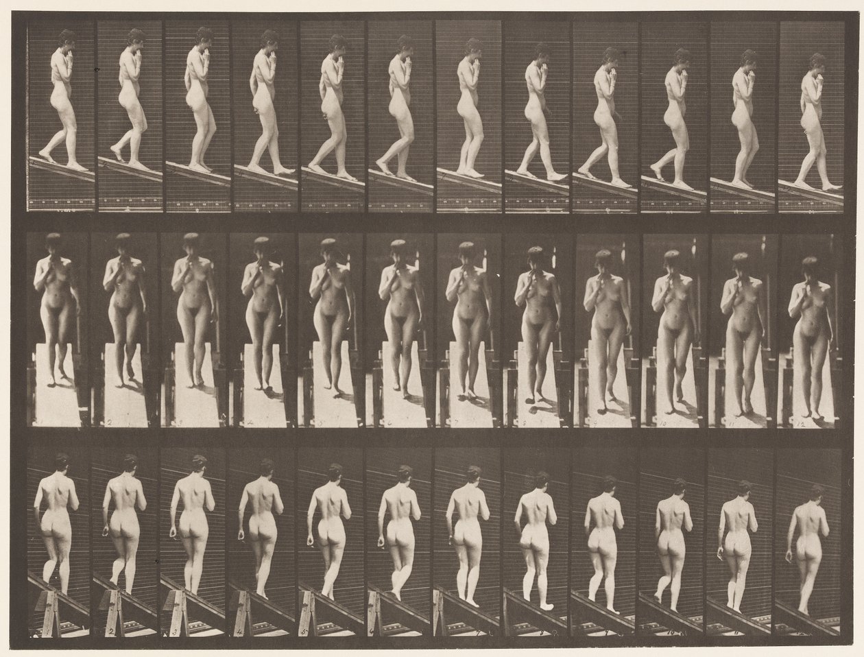 Placa 116. Bajando una pendiente, una mano en la barbilla de Eadweard Muybridge