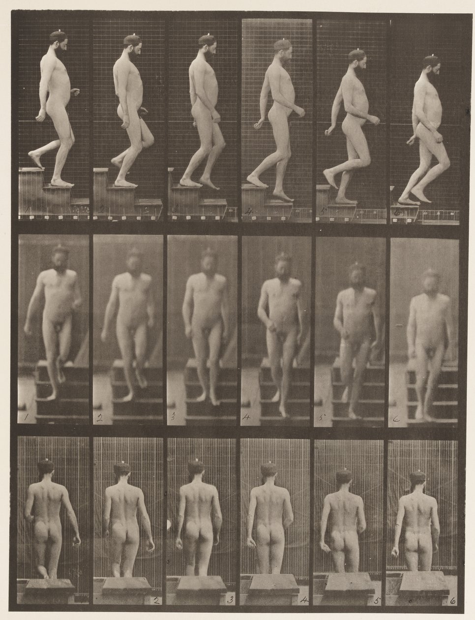 Placa 127. Bajando escaleras de Eadweard Muybridge
