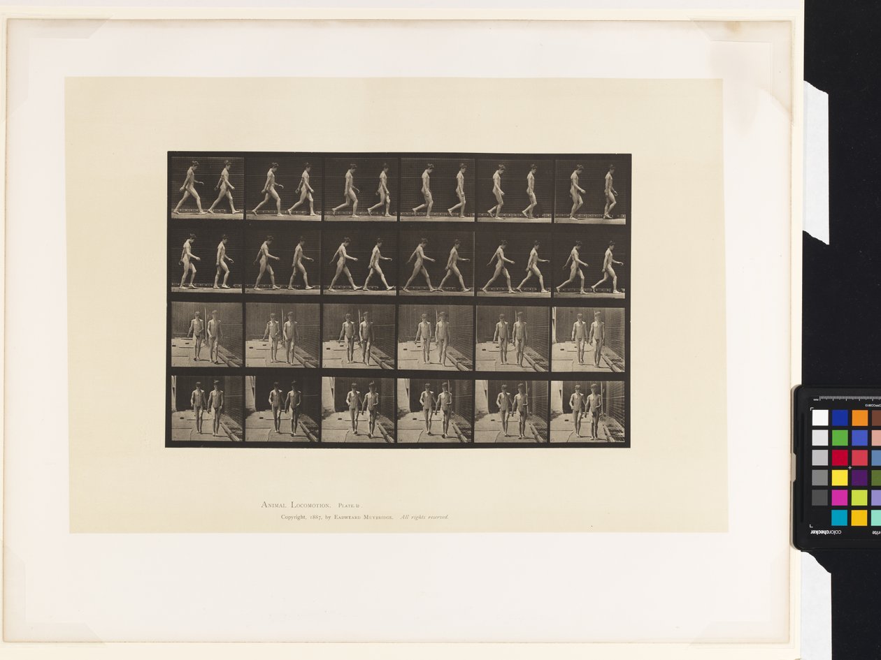 Placa 12. Caminando de Eadweard Muybridge