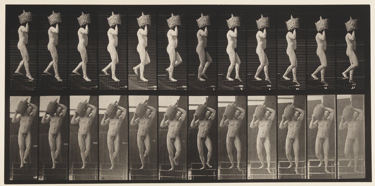 Placa 136. Bajando escaleras con damajuana llena en el hombro, 1872-1885 de Eadweard Muybridge