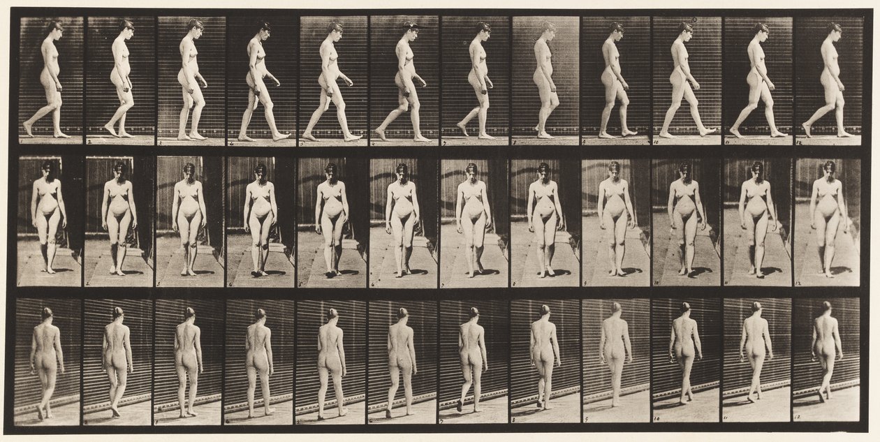 Placa 13. Caminando, 1872-1885 de Eadweard Muybridge