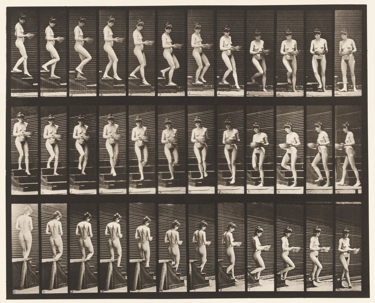Placa 144. Bajando escaleras; girando una palangana en las manos de Eadweard Muybridge