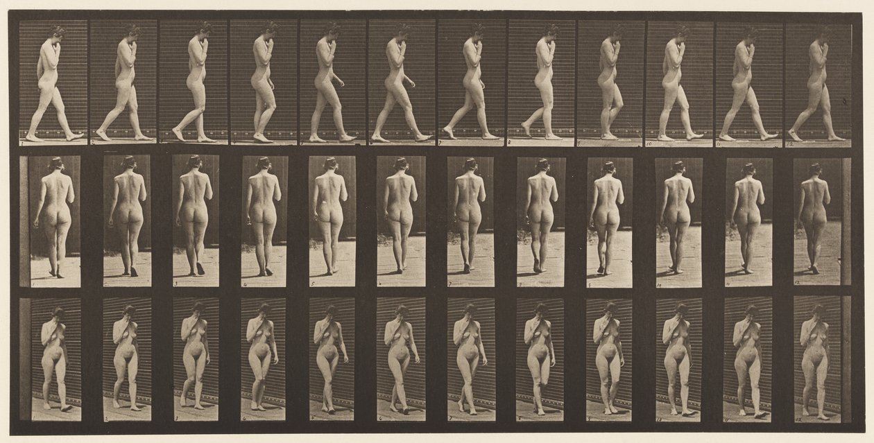 Placa 14. Caminando, mano derecha en la barbilla, 1872-1885 de Eadweard Muybridge