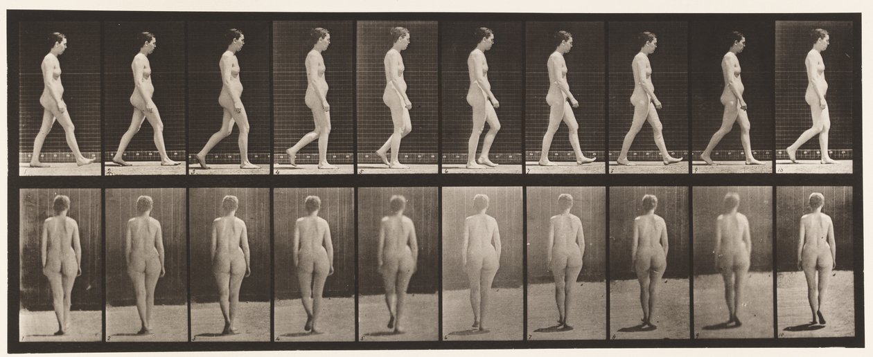 Placa 15. Caminando de Eadweard Muybridge