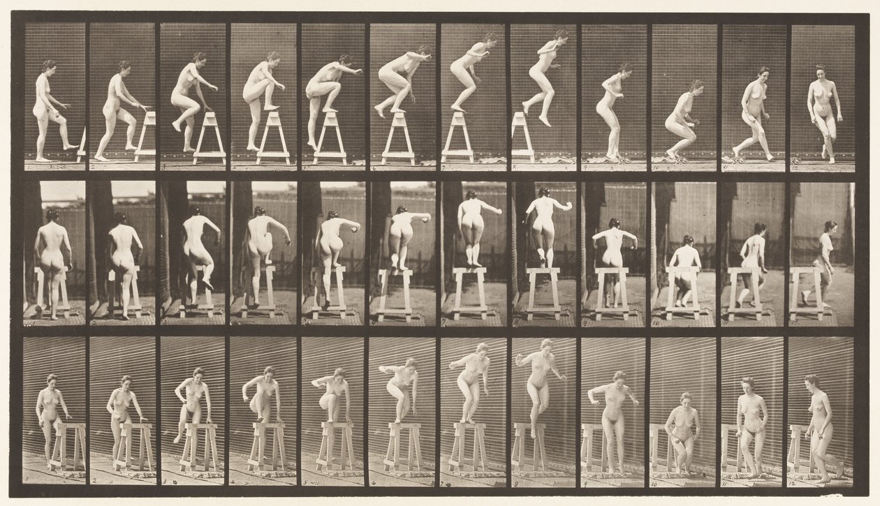 Placa 171. Pisando un Caballete; Saltando Abajo, Girando de Eadweard Muybridge