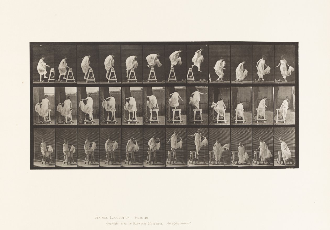 Placa 172. Pisando un caballete; saltando, girando, 1885 de Eadweard Muybridge