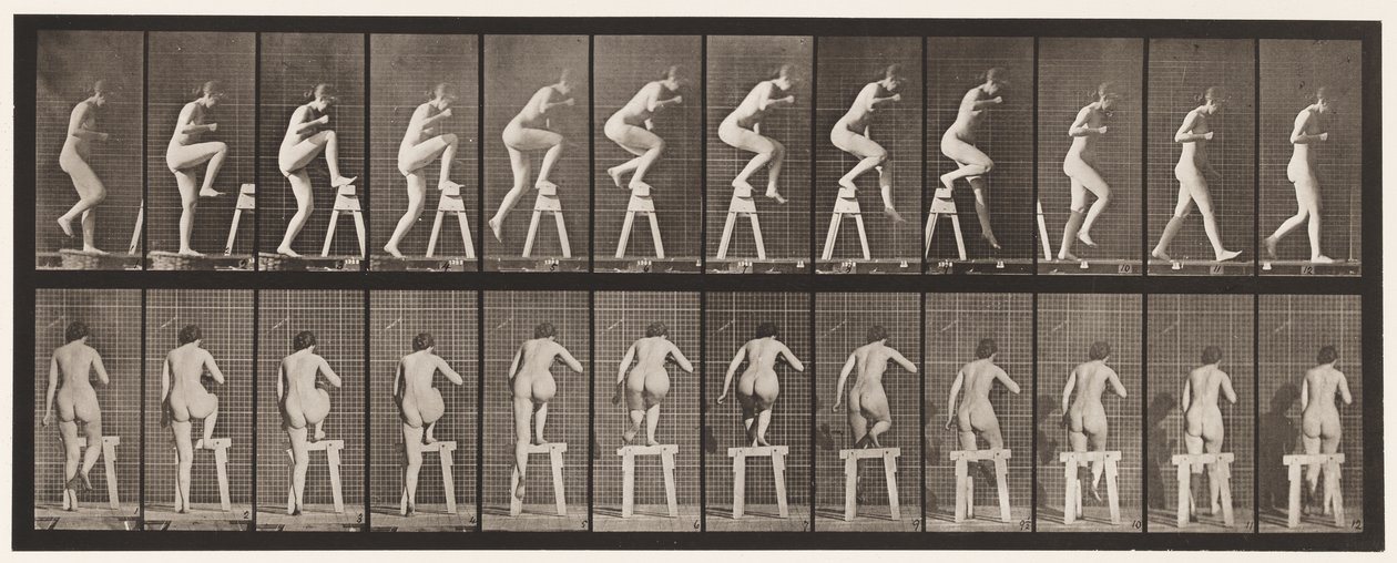Placa 178. Pisando y cruzando un caballete de Eadweard Muybridge