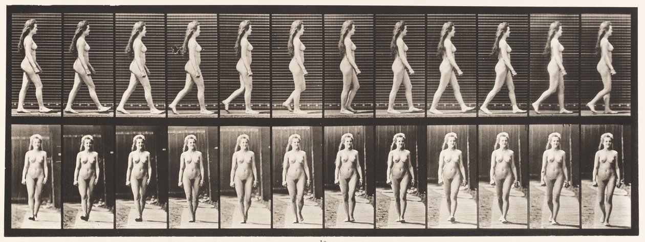 Placa 17. Caminando de Eadweard Muybridge