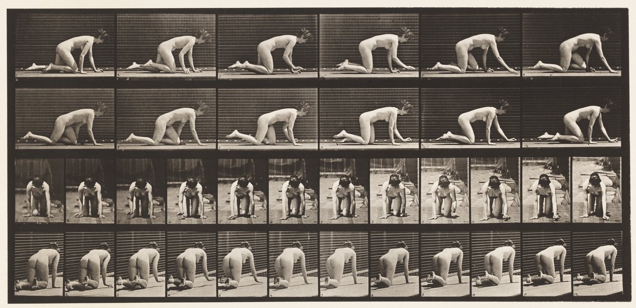 Placa 182. Gateando sobre manos y rodillas de Eadweard Muybridge