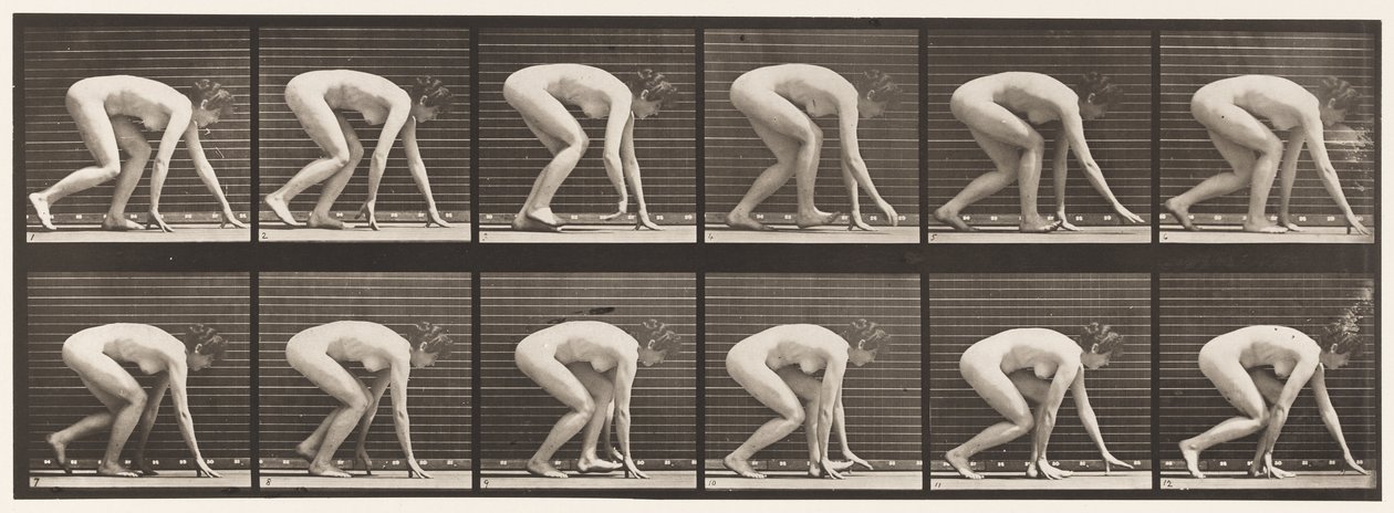 Placa 183. Caminando sobre manos y pies de Eadweard Muybridge
