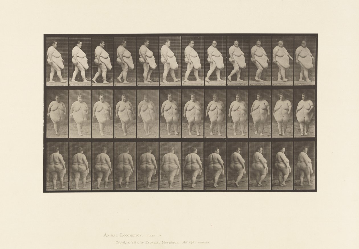 Placa 19. Caminando, Comenzando a Girar de Eadweard Muybridge