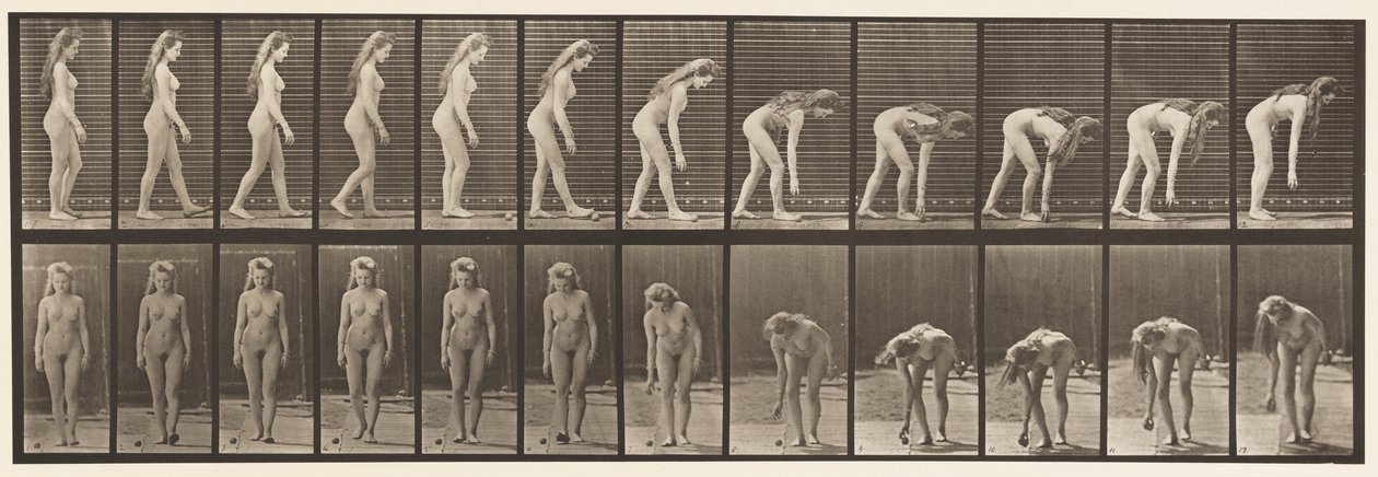 Placa 204. Deteniéndose para recoger la pelota de Eadweard Muybridge