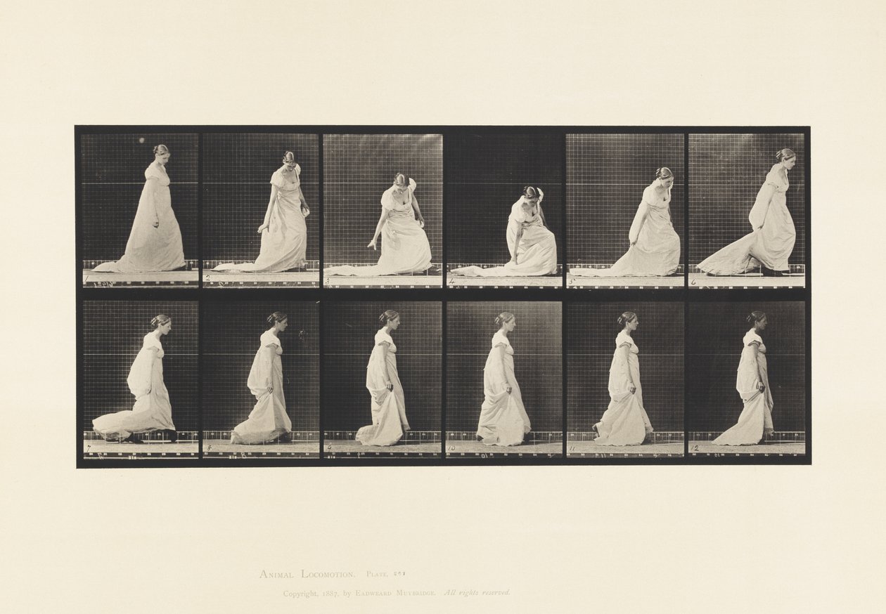 Placa 207. Tren de agacharse y levantar, 1885 de Eadweard Muybridge