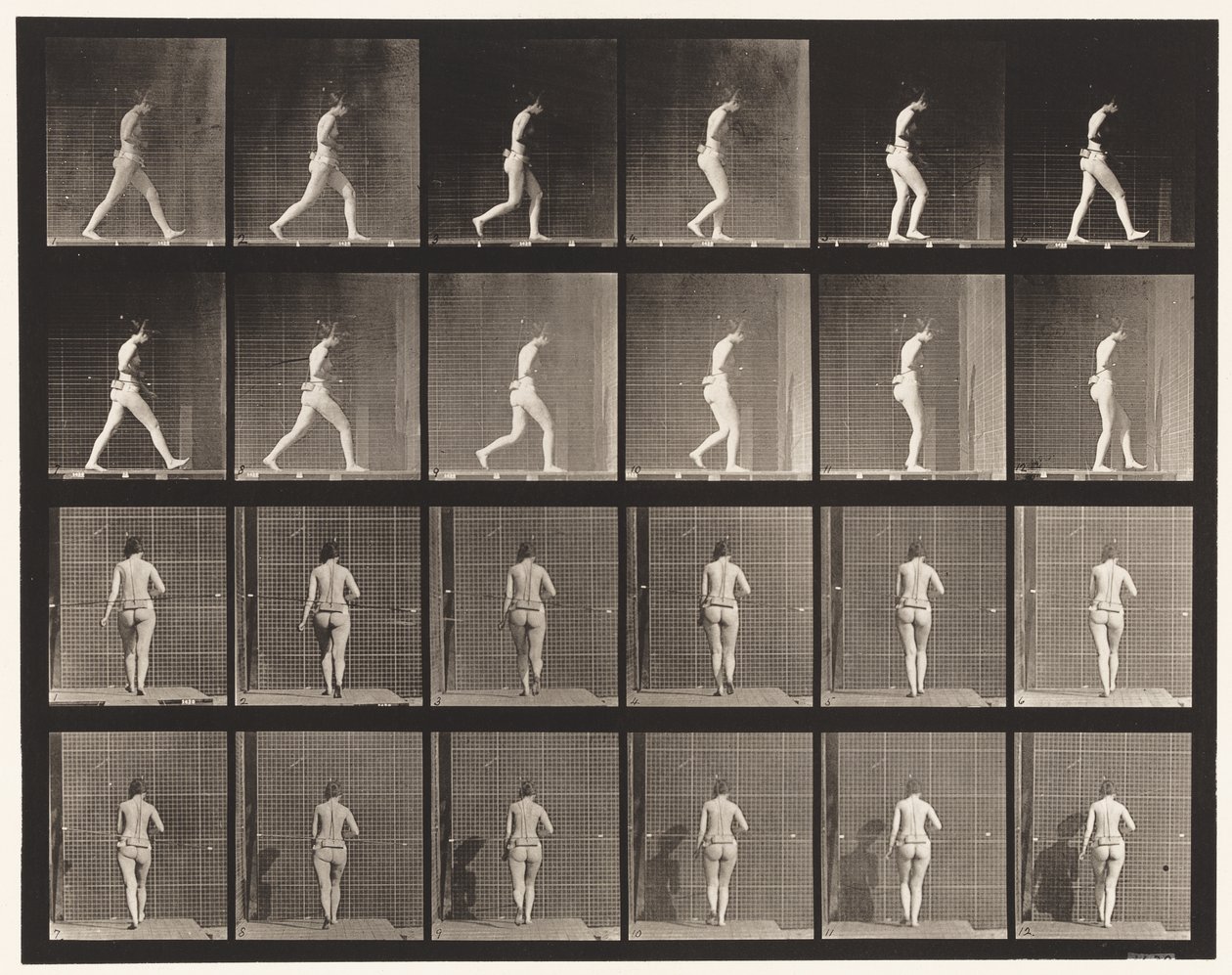 Placa 20. Caminando, codo derecho doblado de Eadweard Muybridge