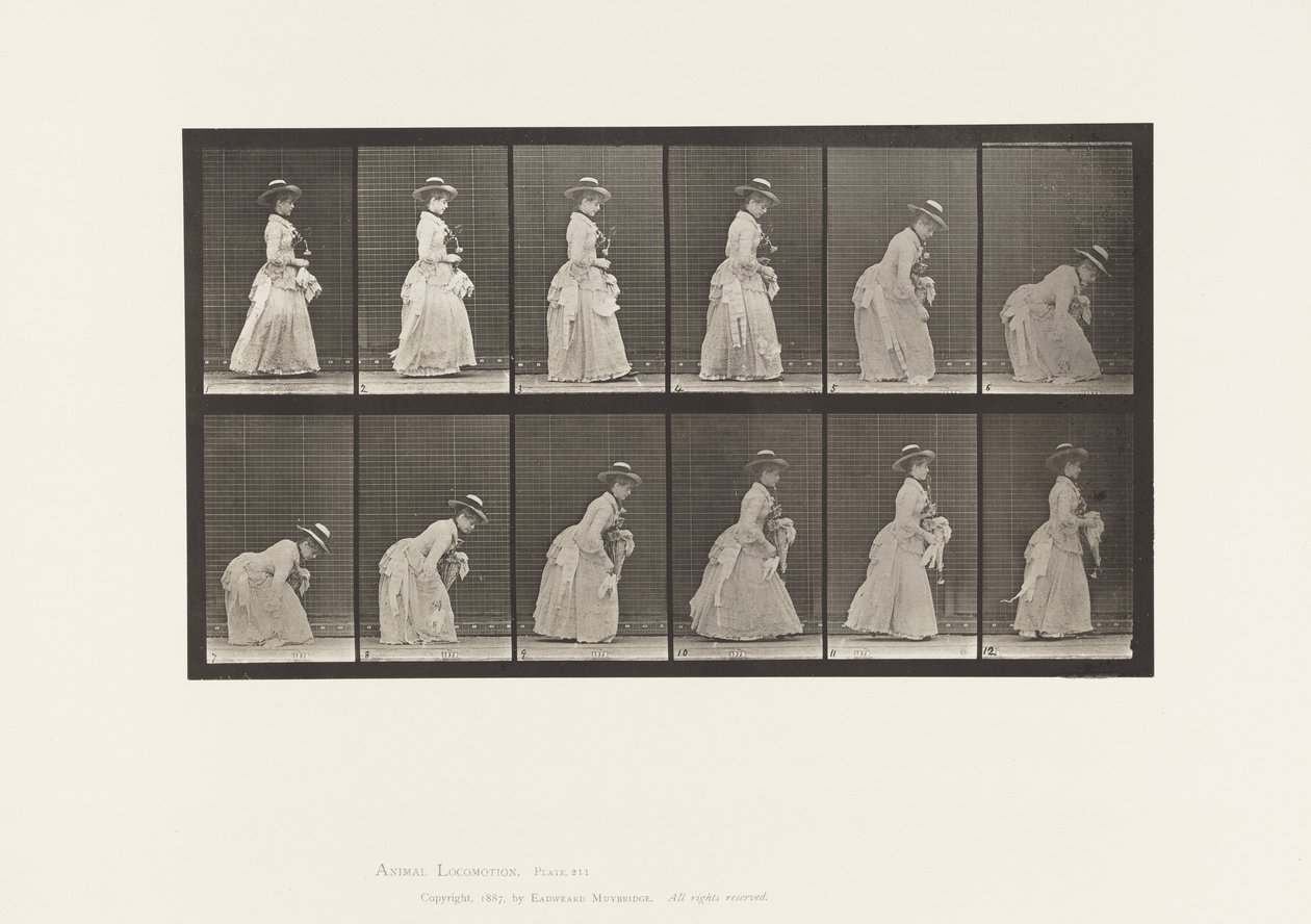 Placa 211. Agachándose y Levantando un Pañuelo; Parasol en la Mano Izquierda, 1885 de Eadweard Muybridge