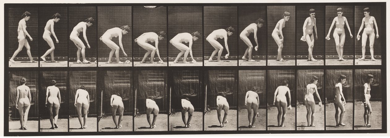 Placa 220. Agachándose y levantando un pañuelo y girando de Eadweard Muybridge