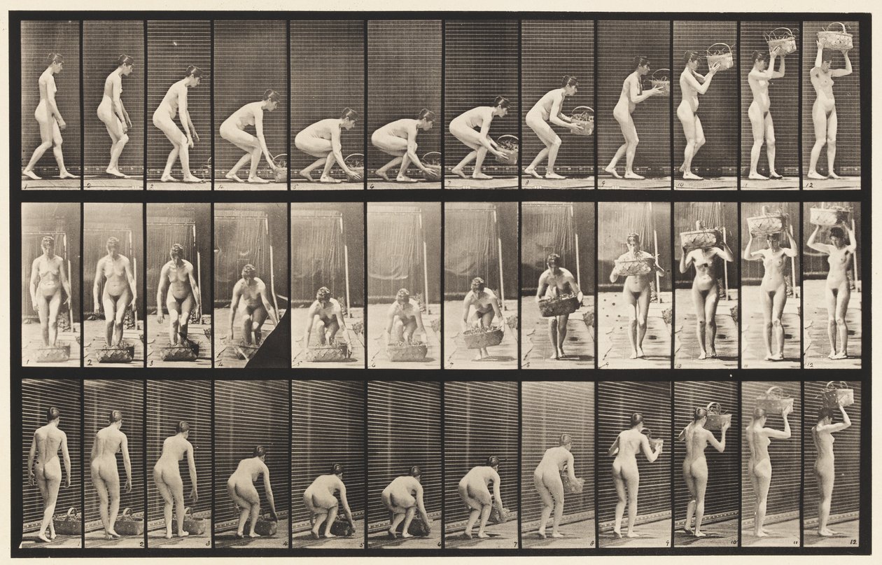 Placa 221. Agachándose y Levantando una Cesta de 12 lb a la Cabeza de Eadweard Muybridge