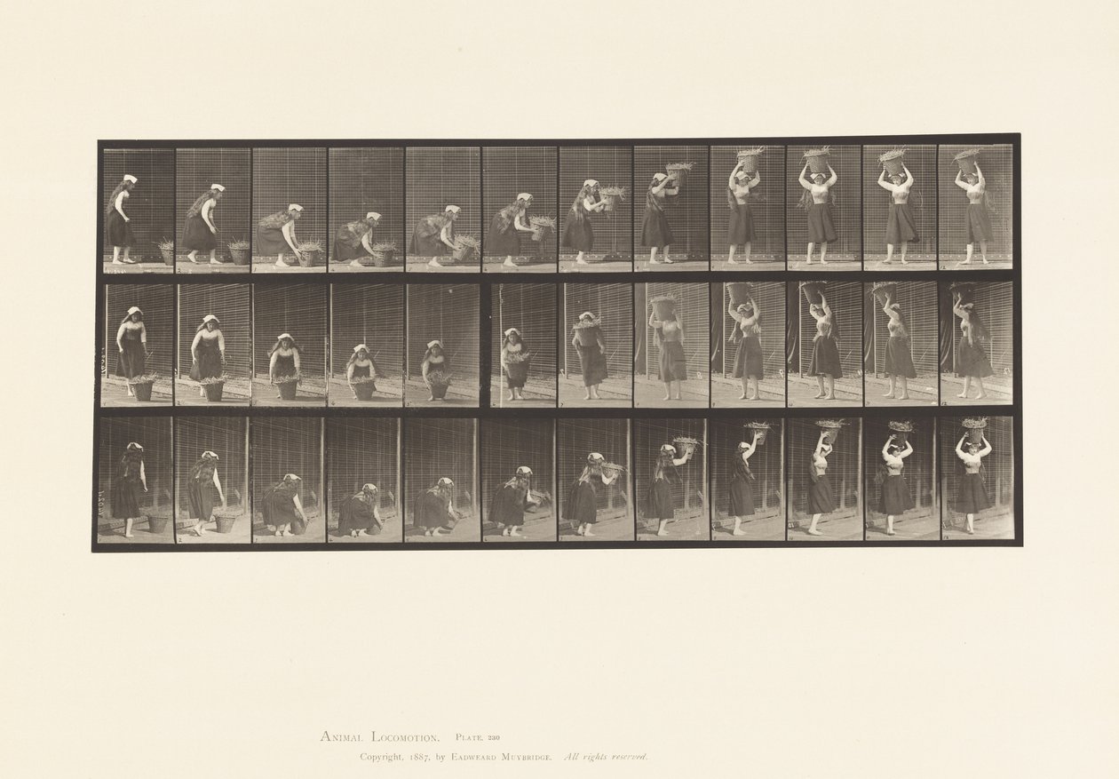 Placa 230. Levantando una cesta de 30 lb del suelo a la cabeza, girando, 1885 de Eadweard Muybridge
