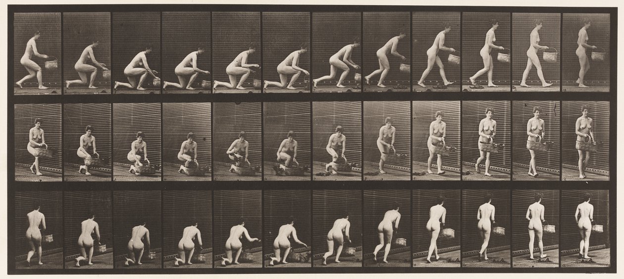 Placa 251. Arrodillándose sobre la rodilla izquierda, cesta en la mano izquierda, y levantándose, 1872-1885 de Eadweard Muybridge