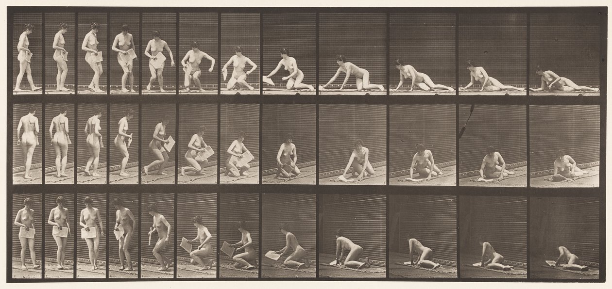 Placa 256. Acostado en el suelo y leyendo, 1872-1885 de Eadweard Muybridge