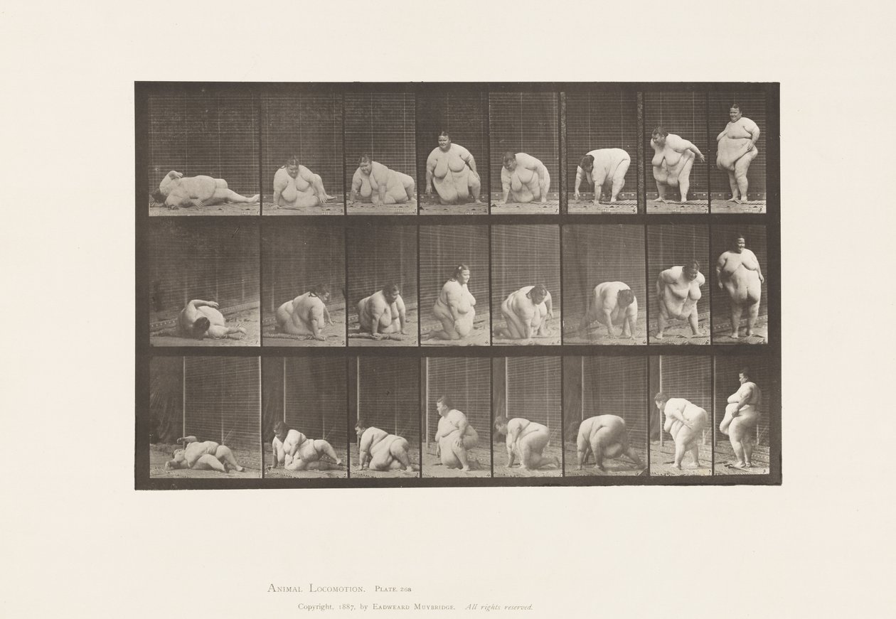 Placa 268. Levantándose del suelo de Eadweard Muybridge