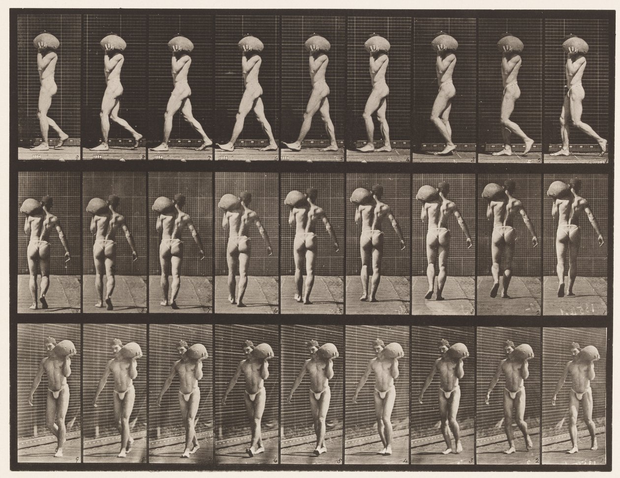Placa 26. Caminando, Cargando Piedra de 75 libras en el Hombro Izquierdo de Eadweard Muybridge