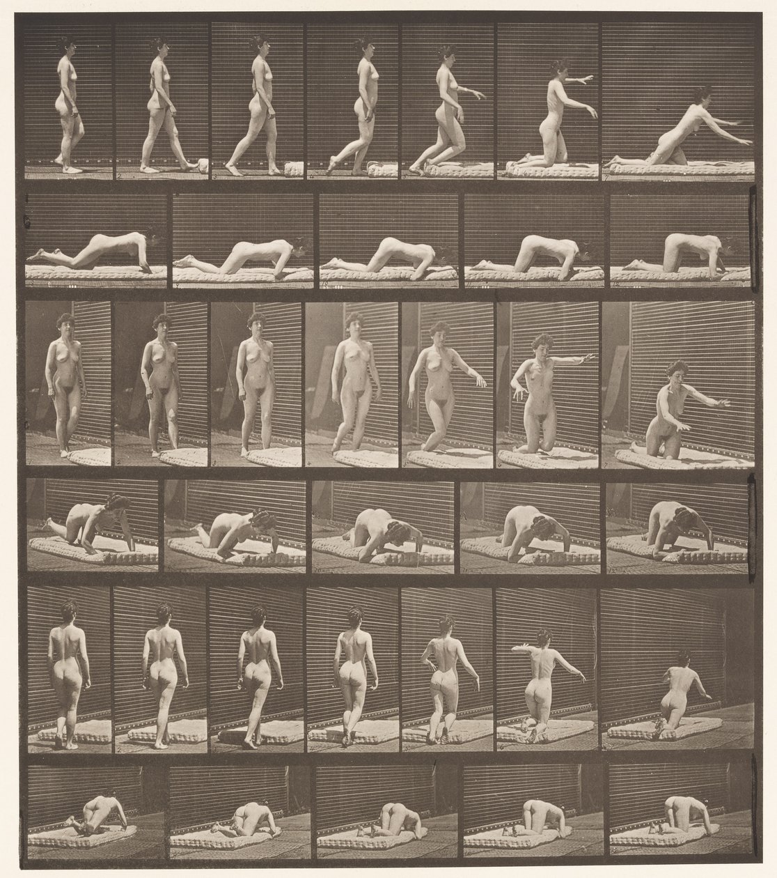 Placa 272. Tropezando y Cayendo al Suelo de Eadweard Muybridge