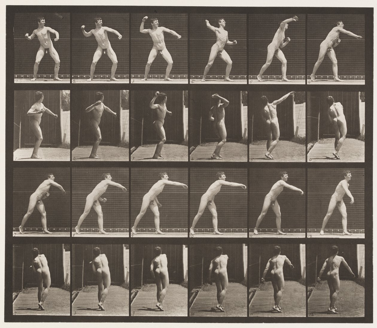 Placa 286. Béisbol; lanzando de Eadweard Muybridge