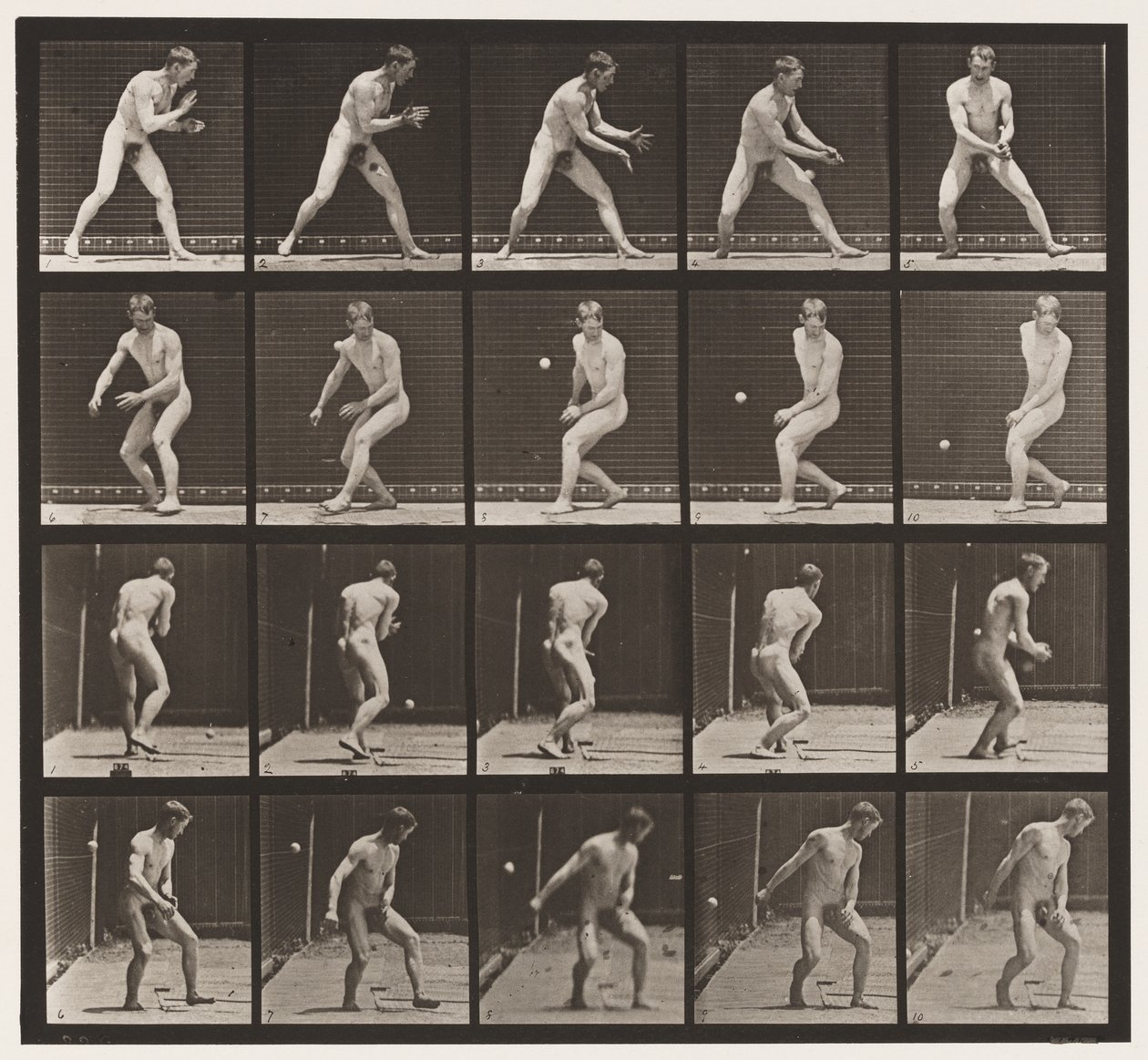 Placa 288. Béisbol; Error de Eadweard Muybridge