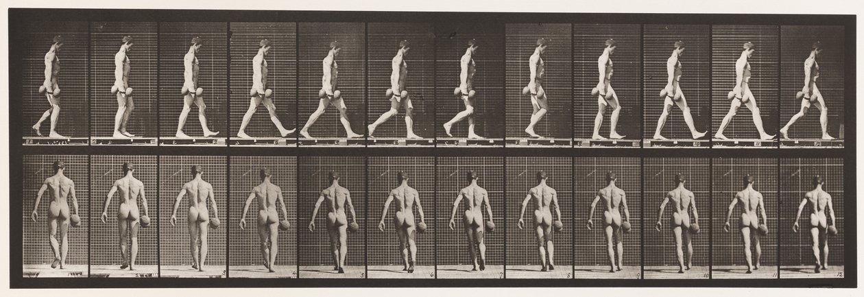 Placa 28. Caminando, llevando una pesa de 50 lb en la mano derecha, 1872-1885 de Eadweard Muybridge