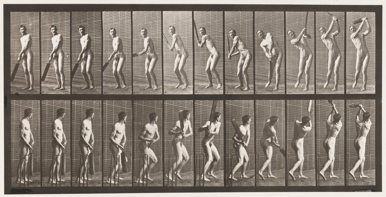 Placa 291. Críquet; bateando; drive, 1885 de Eadweard Muybridge