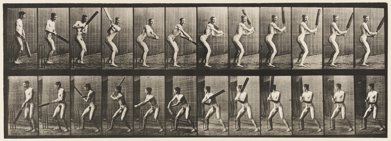 Placa 293. Cricket; bateo; corte trasero de Eadweard Muybridge