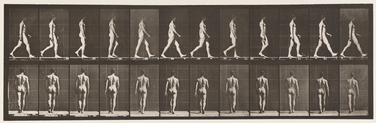 Placa 2. Caminando de Eadweard Muybridge
